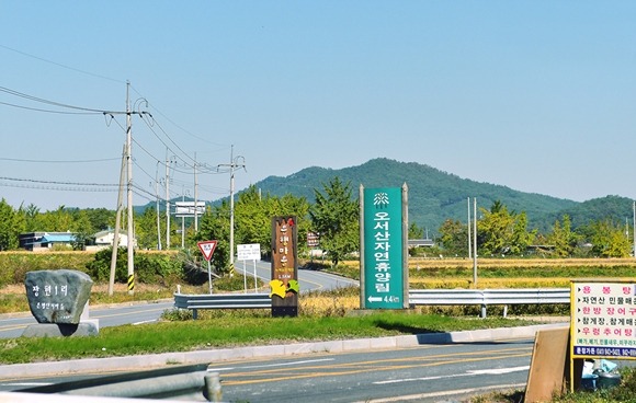 은행나무수산 이미지