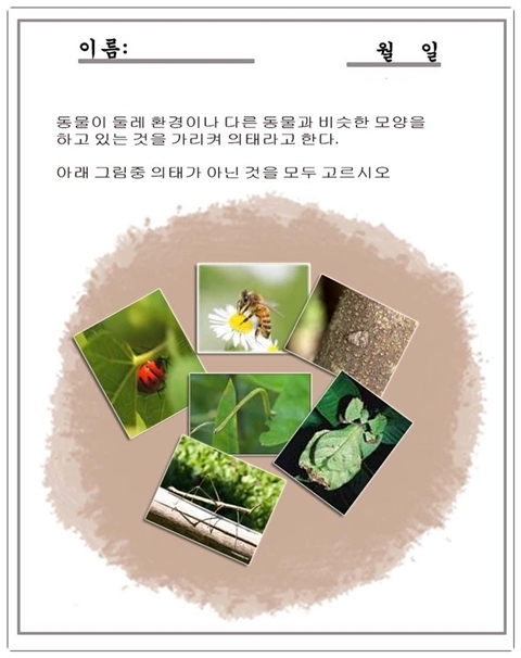 인사이언스 이미지