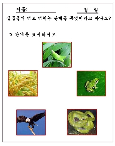 인사이언스 이미지
