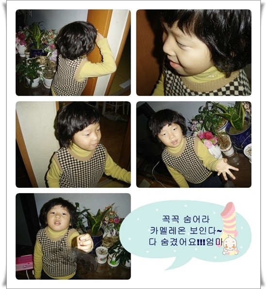 인사이언스 이미지