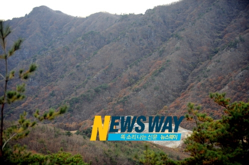 대법원 가인연수관 이미지