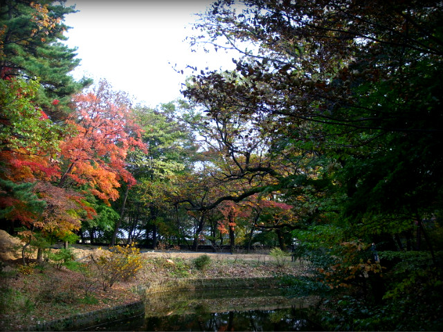 1214AF234AF5B9EC0CA750