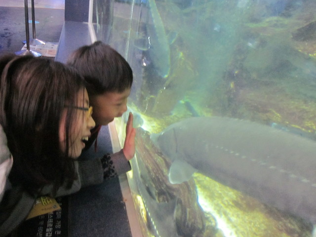 12199A4F512312C20C091B