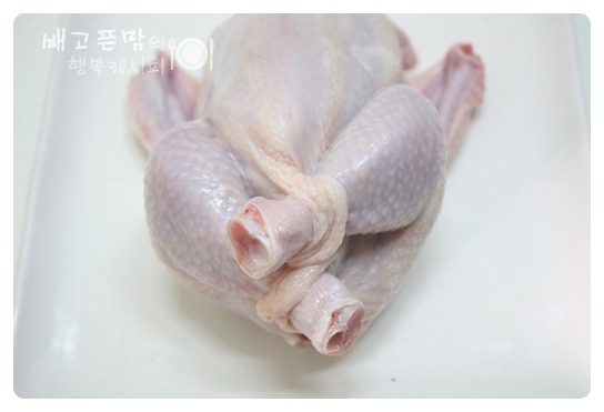 말복에 해먹은 여름 대표보양식.