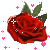 134FE6544D4C79702B5A41