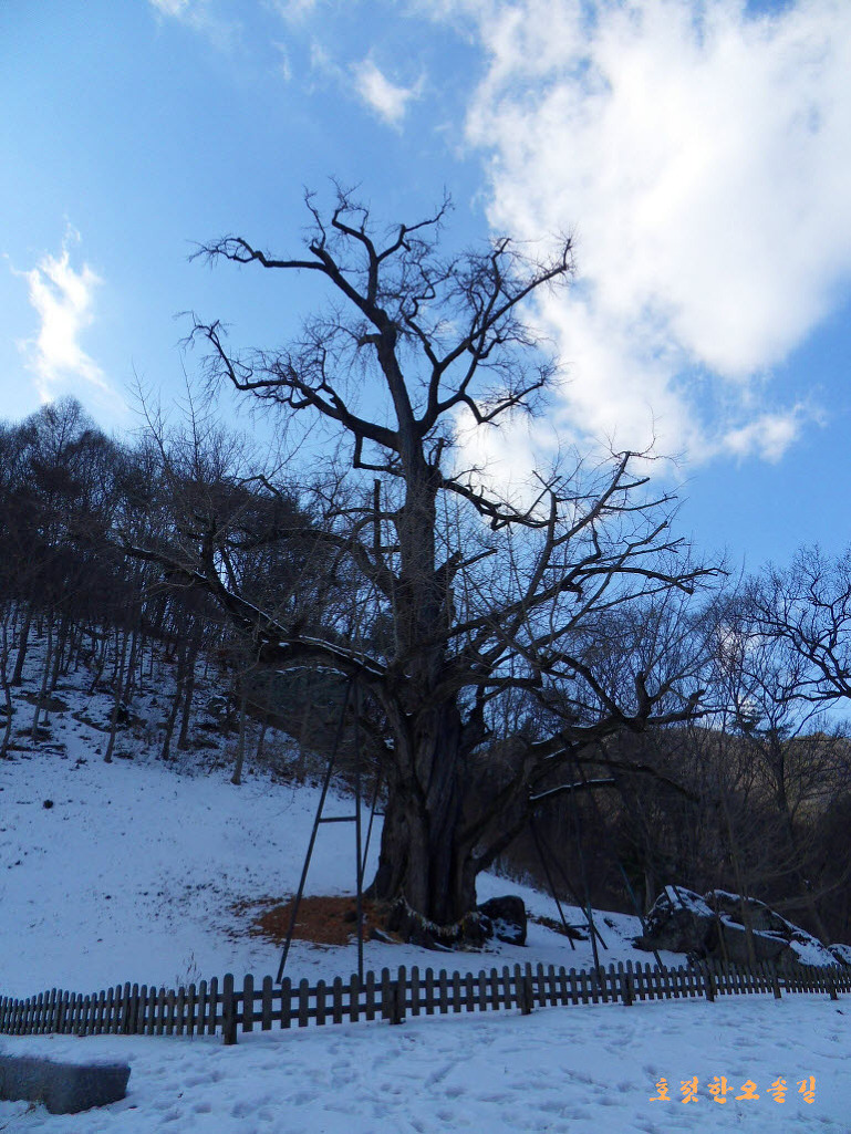 진악산 이미지