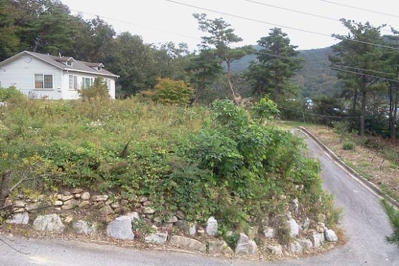 원주시 ﻿﻿부론면 단강리 전원주택 매매