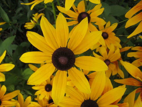 크게 웃어 봅시다.