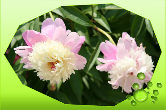 141BE7374FFBDDB11F6BC0