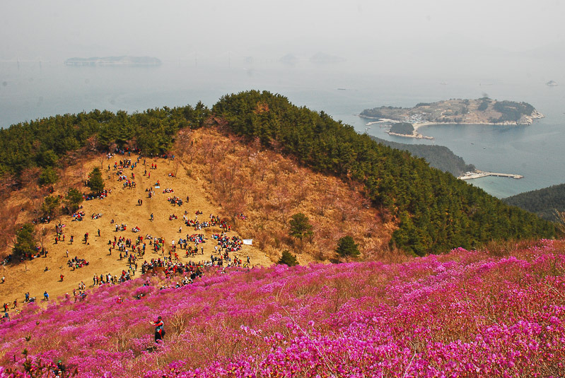 이미지