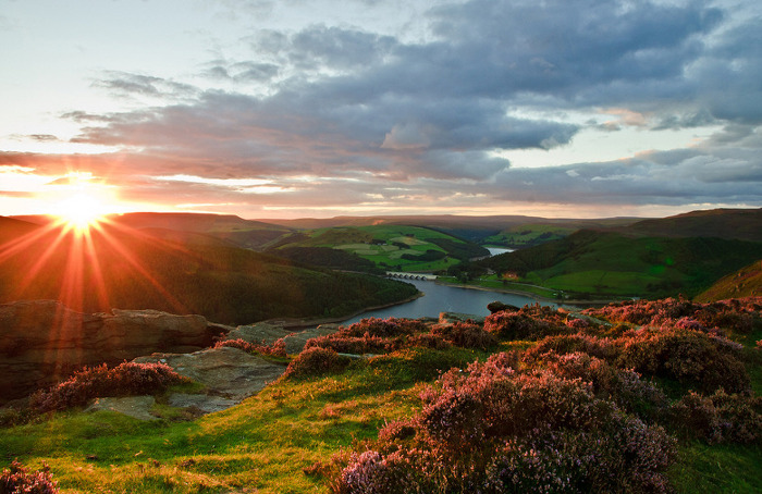 143BCF434FD52C6C27FD31