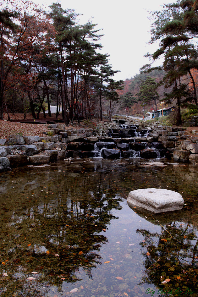 오도산자연휴양림 이미지