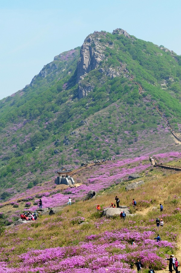 산내음 이미지