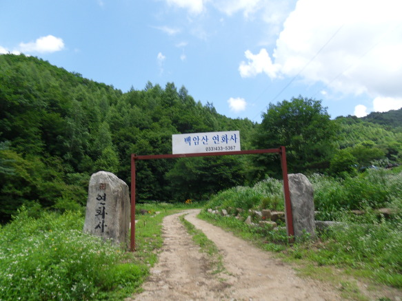 홍천삼계탕 이미지
