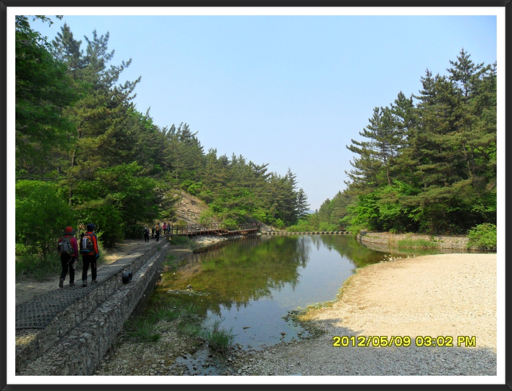 진잠초등학교 이미지
