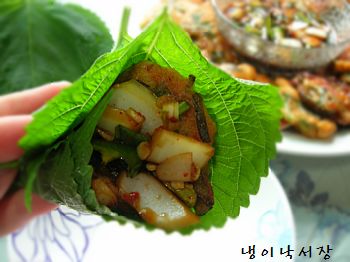 오징어먹는날 이미지