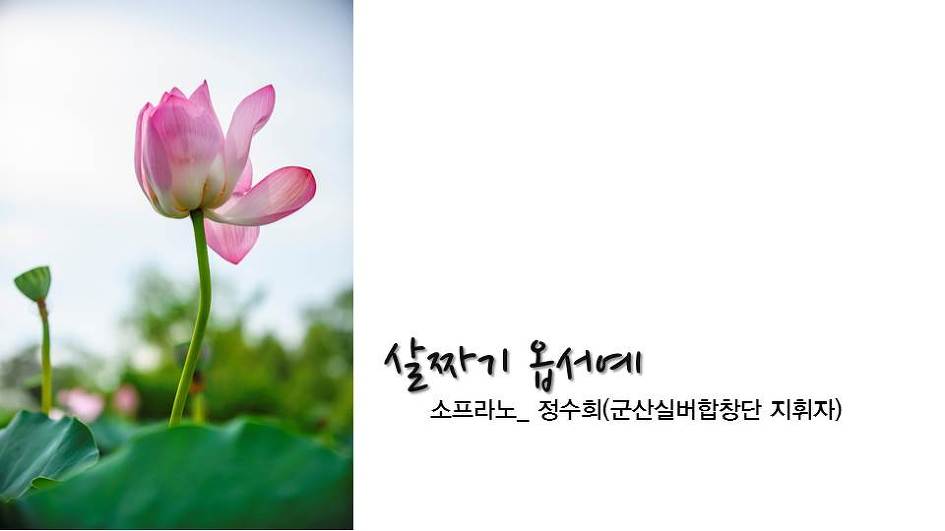 '차꽃, 바람에 머물다' 출판행사 PPT