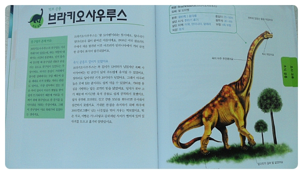 더블클릭을 하시면 이미지를 수정할 수 있습니다