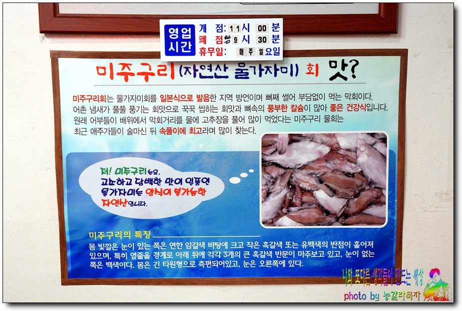 강구물회 이미지