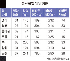 봄나물!  잘 먹으면 보약~!