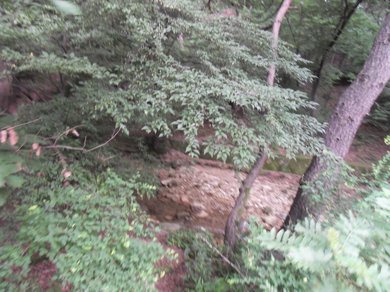 1872F8224C56285E9A9DB2