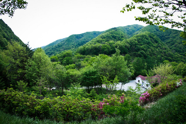 운장산자연휴양림 이미지