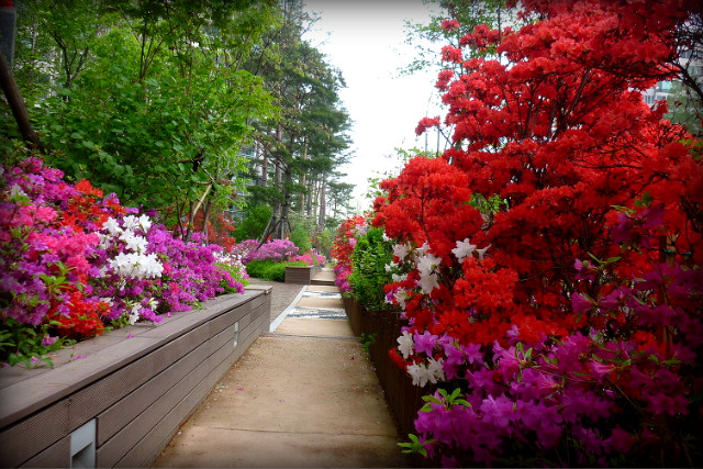 1944560F4BE2B1FD855E5C