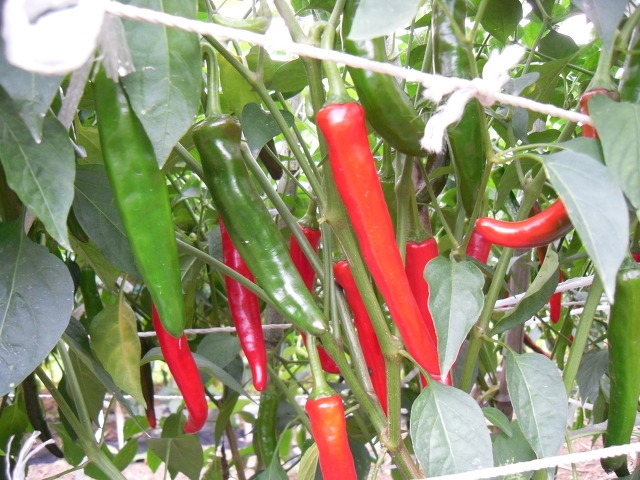 2011년 8월 6일 오후 09:35