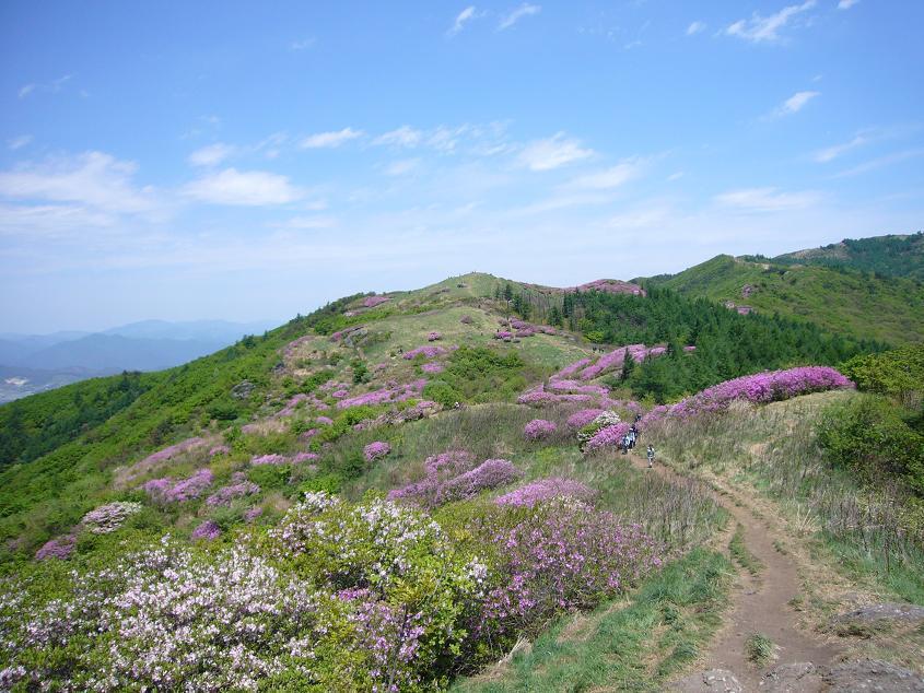 2007년 지리산 대종주