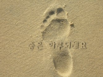 자야 이미지