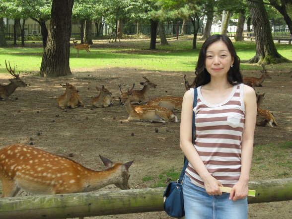 [일본여행] 나라 사슴공원 - 사슴팔자가 상팔자로구나~