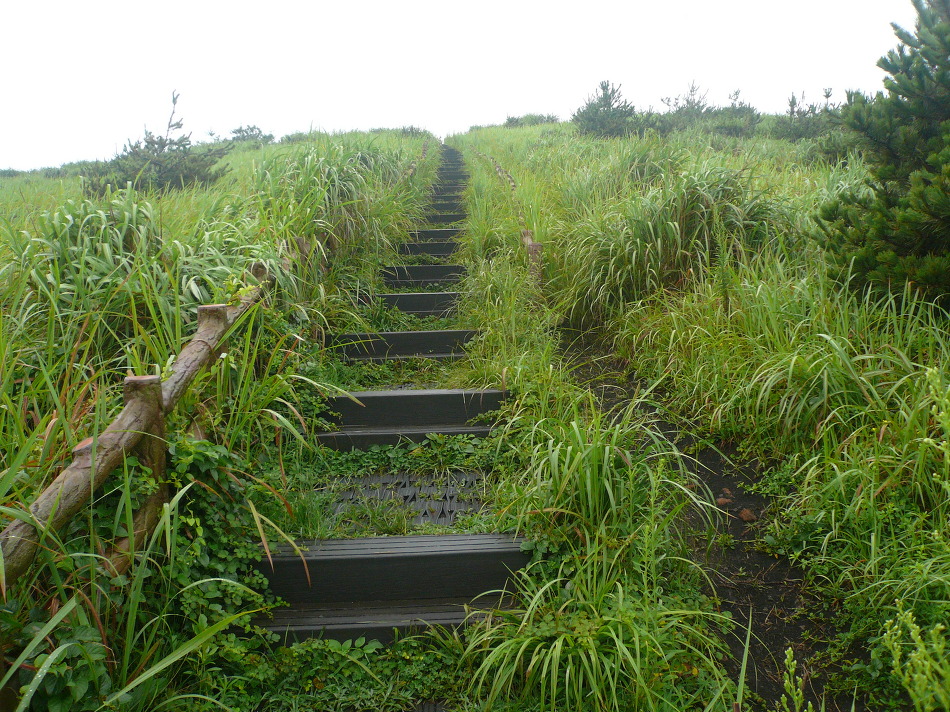 수목원의 산책로