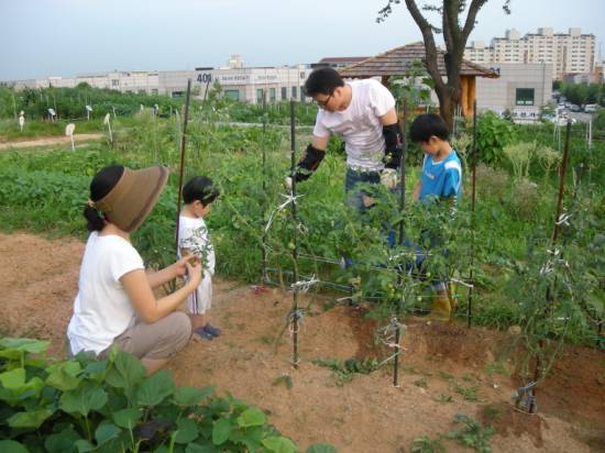 수원농장 이미지