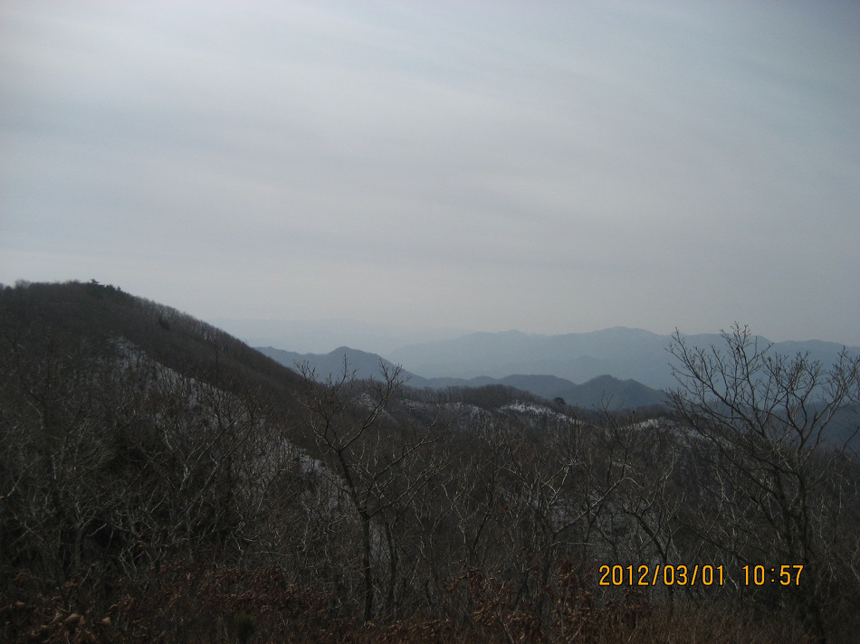 OK목장 이미지