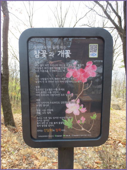 초록숲 이미지