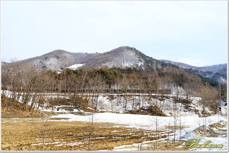 능경봉, 고루포기산 눈꽃산행_20130217