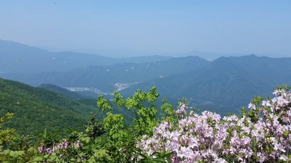 브루마스터