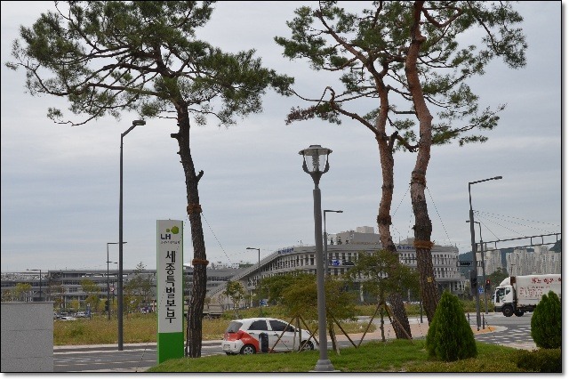 원우조경 이미지