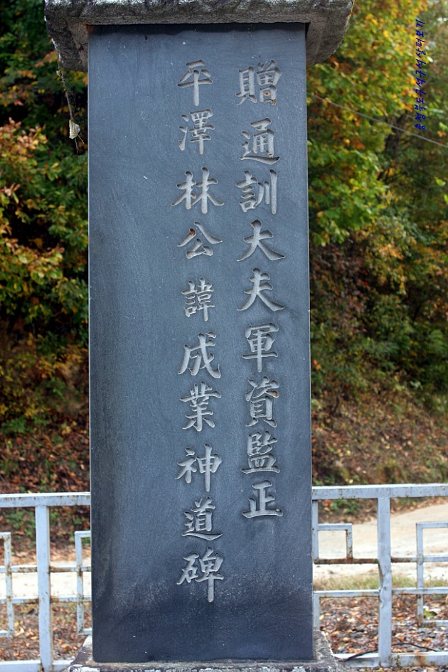 임성 이미지