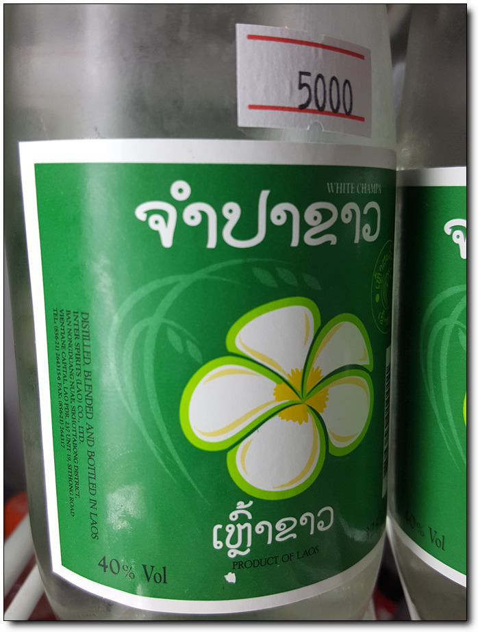 [라오스여행] 라오스 국화, 독참파를 아시나요?