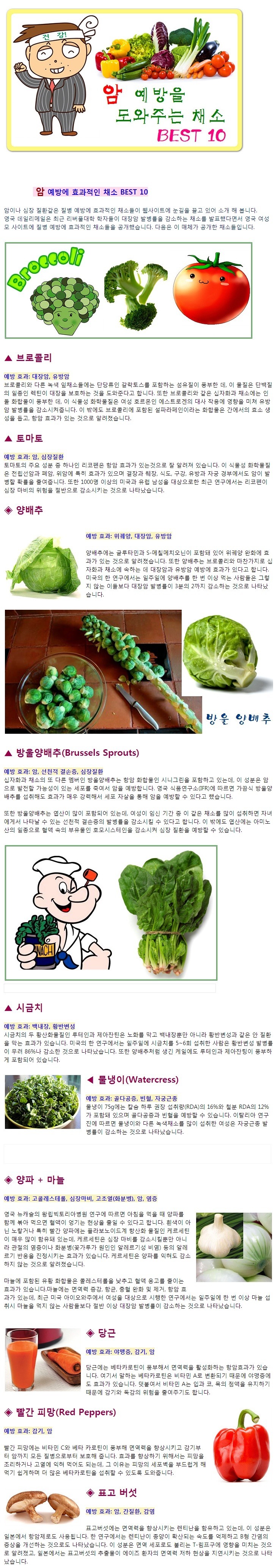 암 예방 채소 베스트 10 | 인스티즈