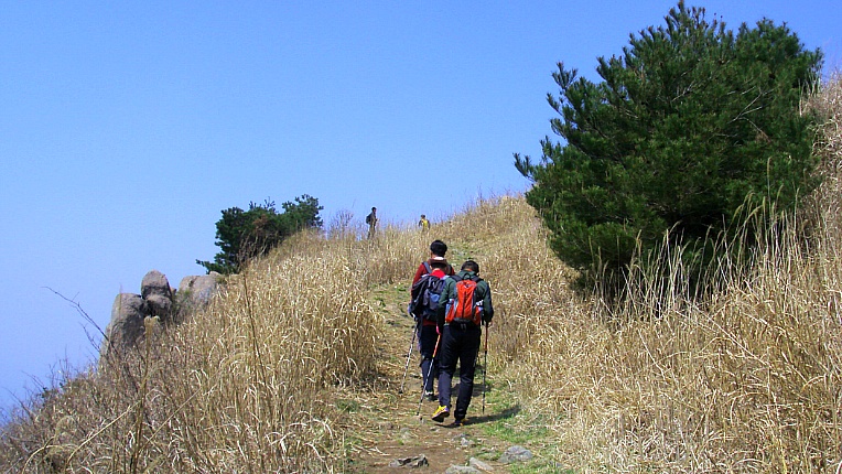 224AC83D552905AB2263C0