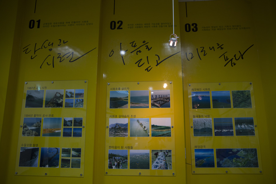 산책하기 좋은 안산습지생태공원 / 안산둘레길, 갈대습지길
