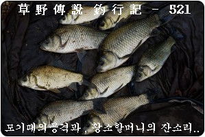233EA24B5396FA822CB611