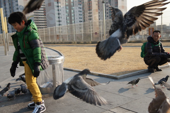이래저래 바쁜 날들