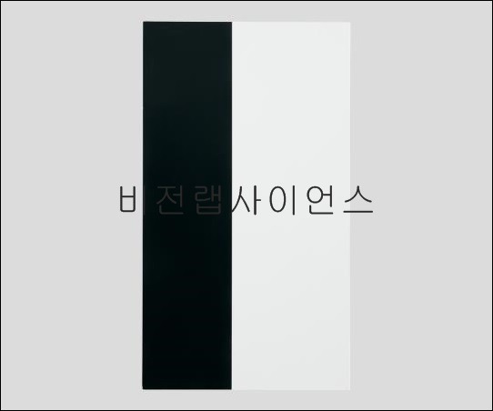 은폐율시험지,TEST PAPERS