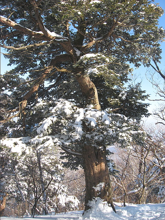 태백연탄 이미지