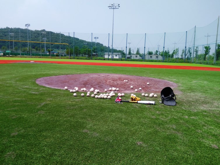 폭염주의보 발령, 야구하면 쓰러집니다. 