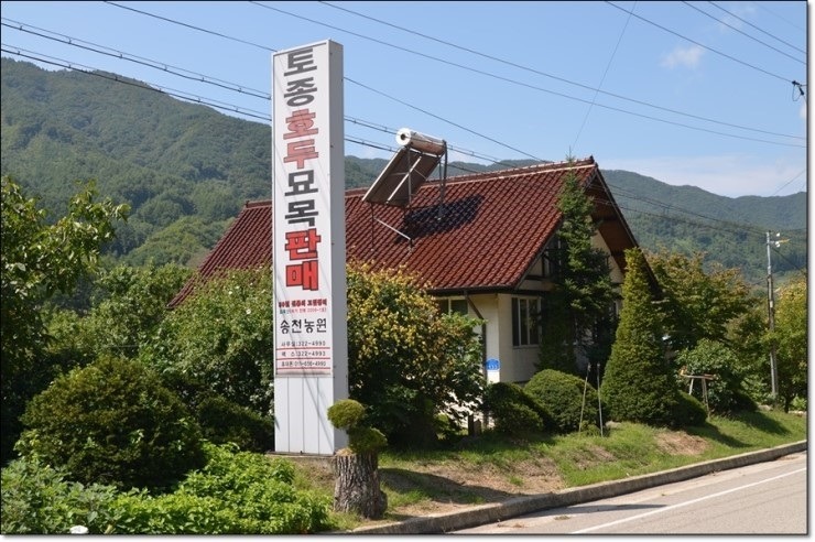연호두 이미지
