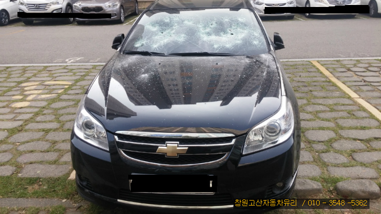 장유자동차유리 이미지